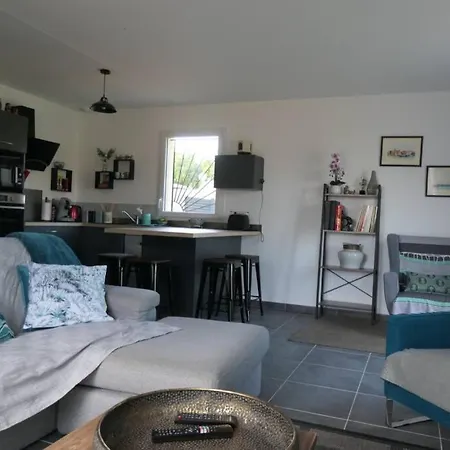 Mode 1 Maison Cosy A 600m Du * Sanguinet